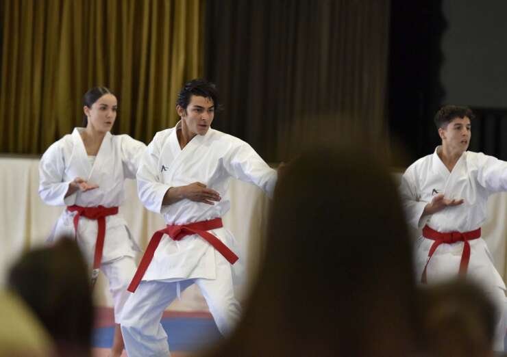 Karate-740x522.jpg